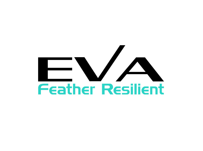 EVA nanometric image